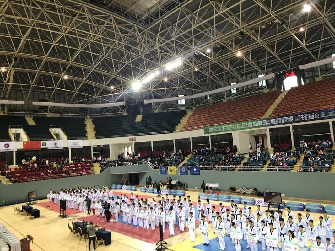 6金5银9铜!团体总分第一名!——附中跆拳道队大鹏展翅, 扶摇直上!