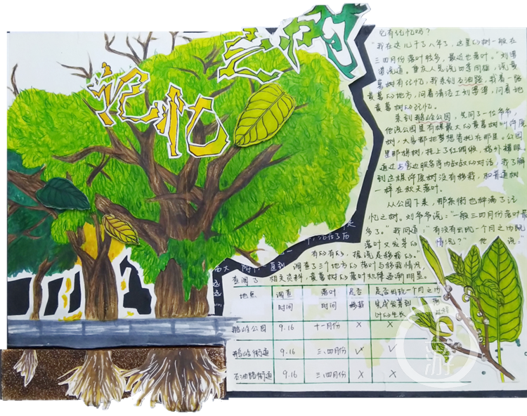 囊获自然笔记大赛最高奖项 展现西大附中学子综合素养