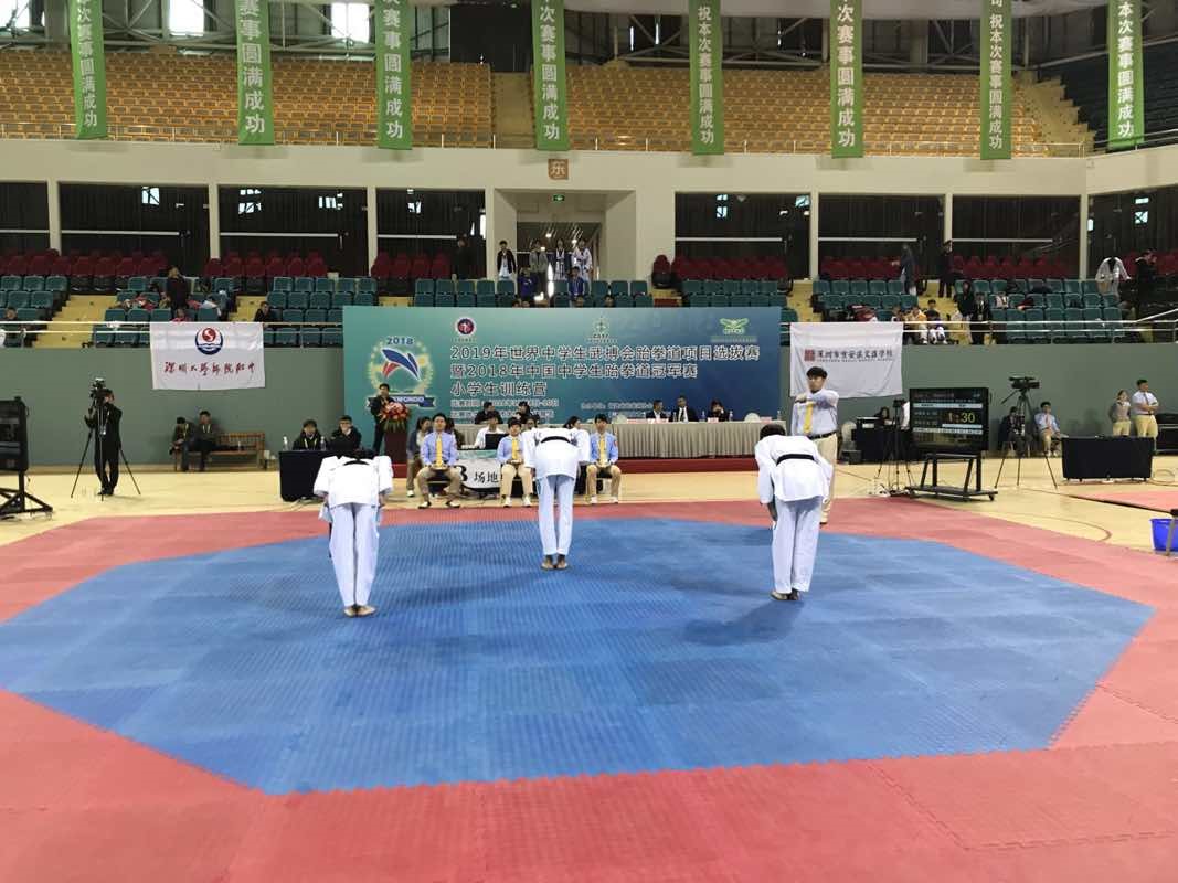 6金5银9铜!团体总分第一名!——附中跆拳道队大鹏展翅, 扶摇直上!