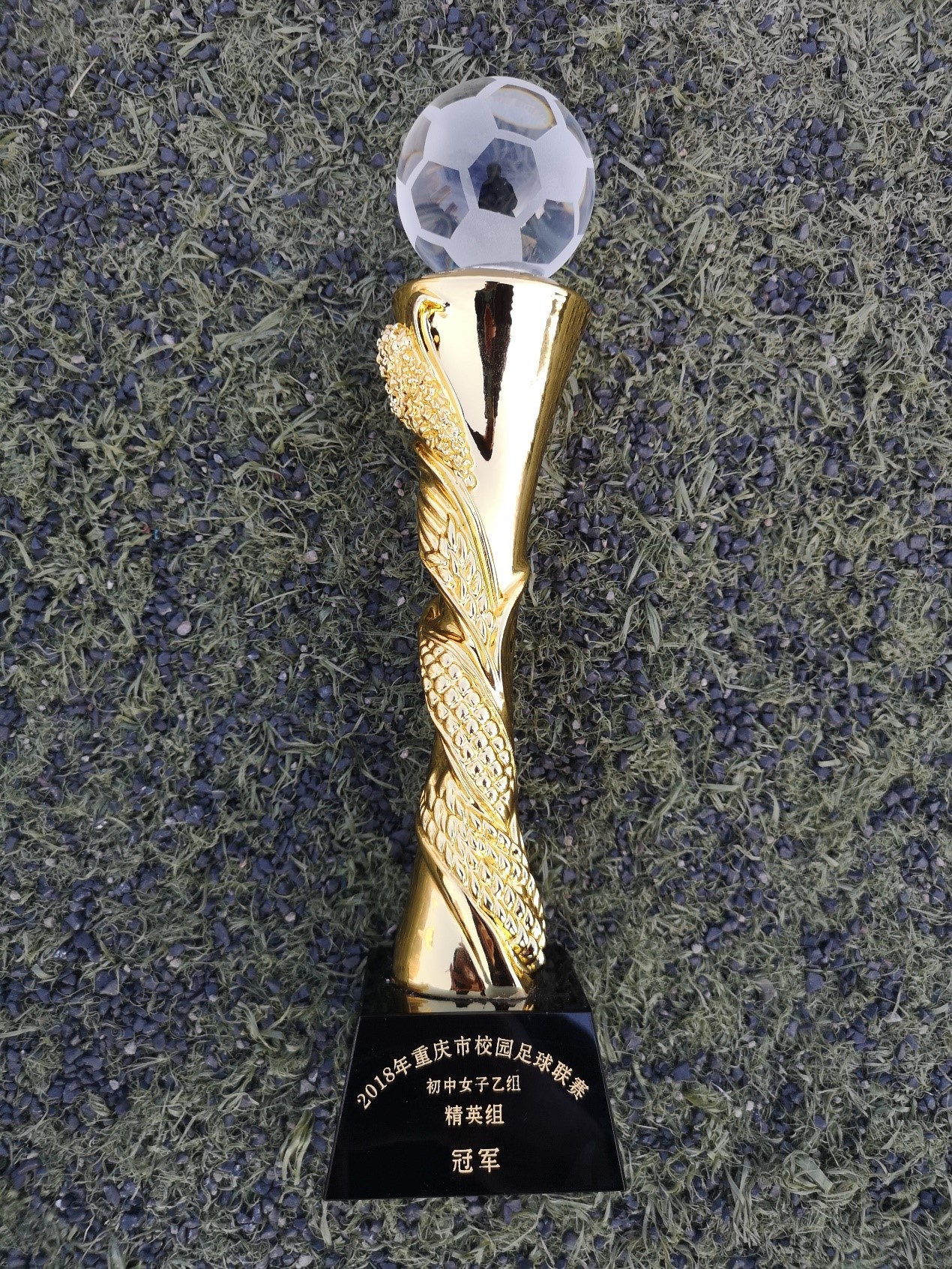 2018年PA视讯附属中学女子足球队成绩简报