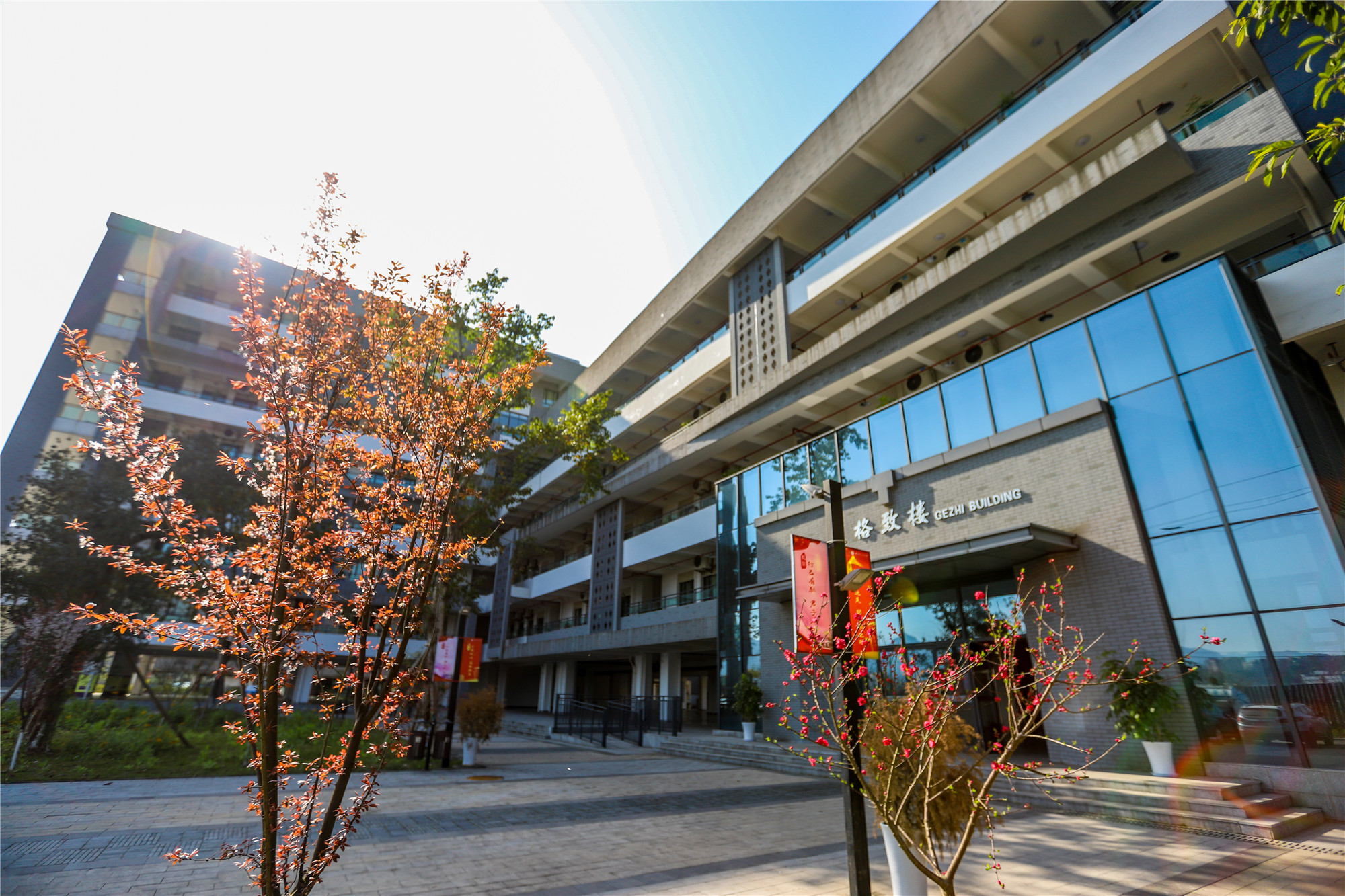 荣耀发布:西大附中入选“改革开放40年中国教育典型性代表”