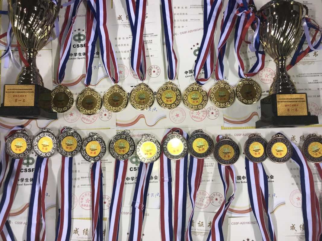 6金5银9铜!团体总分第一名!——附中跆拳道队大鹏展翅, 扶摇直上!