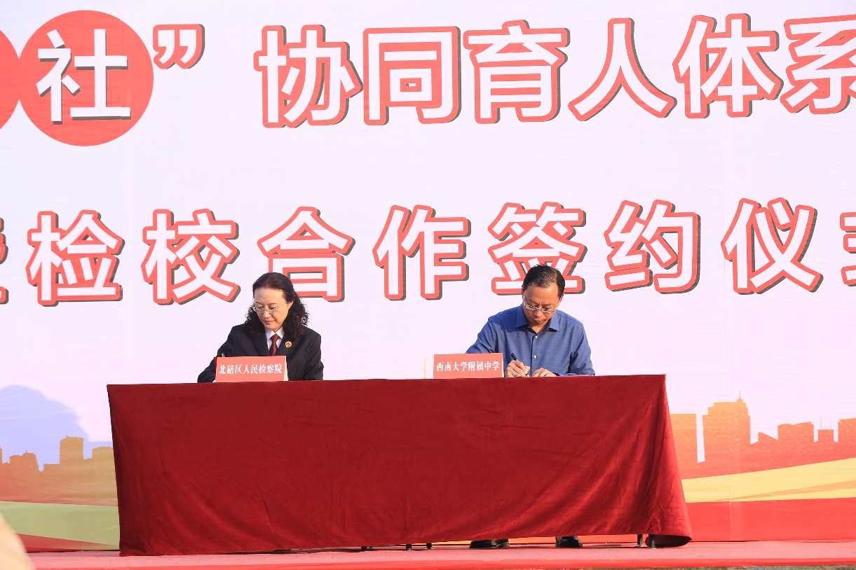 图片 9.png 图片 9.png